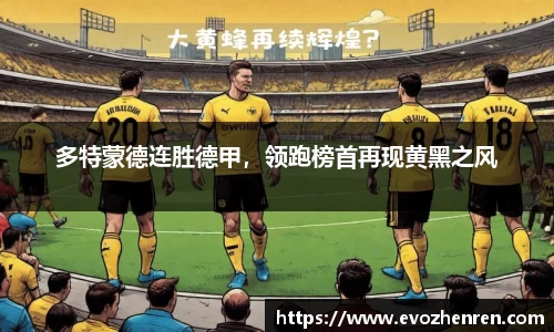 EVO真人视讯