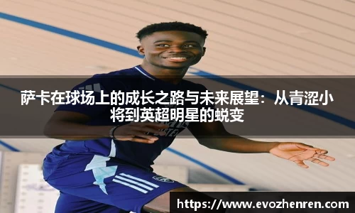 EVO真人视讯